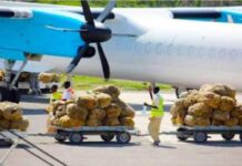 Khaad Ganacsato Kenyan ah u soo waday Soomaaliya oo la joojiyay