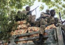 Itoobiya oo lagu eedeeyay in ay waxbeerashada u diideyso dadka Tigreega