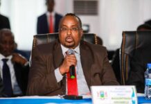 Waare oo sheegay in DFS xayirtay lacag loogu deeqay Hir-Shabeelle.