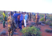 Ciidamo la kala dhex-dhigay maleeshiyaad dagaalamay