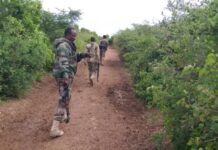 Ciidamada Dowladda oo sameeyay howlgal Miino baaris ah