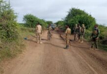 Dowladda Soomaaliya oo sheegtay in howlgal lagu dilay Xubno ka tirsan Al-Shabaab