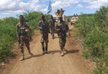 Ciidanka DANAB oo sameeyay howlgal lagu qabtay Xubno ka tirsan Al-Shabaab