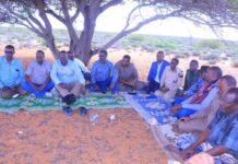 Heshiis hordhac ah oo la kala dhex-dhigay maleeshiyaad dagaalamay