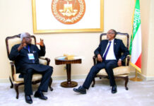 Madaxweynaha Somaliland oo la kulmay Madaxweynihii hore ee dalka Sierra Leone