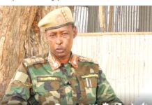 Taliye Tareedisho oo ku dhawaaqay dagaal ka dhan ah Al-Shabaab