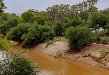 Meydka laba wiil oo walaalo ahaa oo laga helay wabiga Shabeelle ee Magaalada Baledweyne
