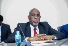 Wasiir Caadle oo shaaciyey in beelaha Xawaadle iyo Abgaal ay ku dulman yihiin HirShabelle{AKHRISO}