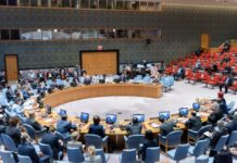 Golaha Ammaanka oo Cambaareeyay Tallaabo uu qaaday Turkiga