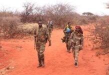 Dowladda Soomaaliya oo sheegtay in howgal lagu dilay Xubno ka tirsan Al-Shabaab