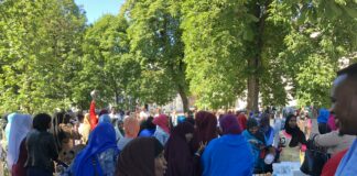 Mid ka mid ah aqoonyahanada Norwey oo ka hadlay kala qeybsanaanta Soomaalida.