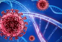 Dadka qaadaya Xanuunka Covid-19 oo sare u kacay Norwey.