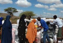 Itoobiya oo Shaqada ka joojisay Hay’addo ka howlgalla Gobolada Soomaalida iyo Tigreega