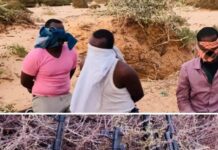 Ciidanka xoogga dalka oo soo bandhigay hub iyo rag watay