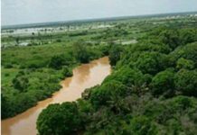 Wabiga Shabeelle oo fatahaad horleh sameeyay