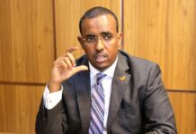 Wasiir ka tirsan DF oo Jay Bahdur iyo ururo ku eedeeyey ‘shirqool la rabo in lagu dilo’