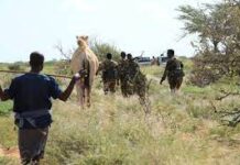 Dad ku dhintay dagaal dhex-maray Xoolaleey iyo Kalluumeysato