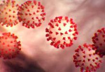 Norway:-Dadka qaadaya xanuunka caabuqa Caronavirus oo sare u kacay wadanka .