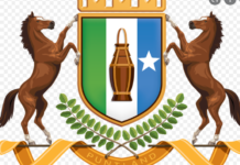 Puntland oo dhexdhexaadineysa Madaxweyne Farmaajo iyo Ra’iisal Wasaare Rooble