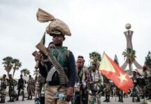 Ciidamada Mucaaradka Itoobiya oo ku sii siqaya magaalada Adis-ababa