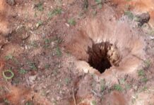 Caruur ku geeriyootay walxo ay ku ciyaarayeen