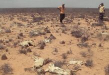 Rooble oo ku dhawaaqay in dalku galay xaalad bani’aadminimo oo deg deg ah.