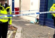 Wiil Soomaali ah oo lagu dilay galbeedka London xili uu bad-baadinaayay haweeney 84-jir ah.