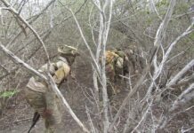 Ciidanka dowladda oo howlgal qorsheysan ka fuliyay Jubbada Hoose