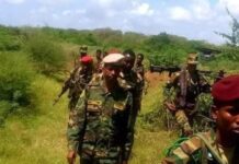 Ciidanka xoogga dalka oo howlgal ka fuliyay Shabeellaha Hoose