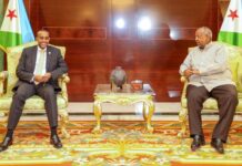 Ra’iisal wasaare Rooble oo la kulmy Madaxweynaha Dalka Jabuuti