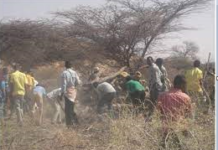 Maamulka Galmudug Amar ka soo saaray jarista dhirta