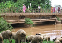 Deg Deg: Qarax ka dhacay Magaalada Jowhar