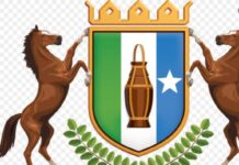 Gudiga doorashooyinka Puntland oo ku dhaaqaya Markii ugu horreysay Kuraasta Golaha shacabka ee laga soo dooranayo Puntland