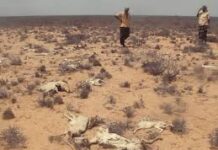 Hir-Shabeelle oo ay ku dhufatay abaar aad u daran .