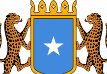 Dowladda Soomaaliya oo Amartay in la soo xiro rag ku eedeysan dhoofinta dhuxusha