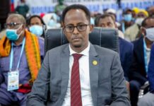 Wasiir ka tirsan dfs oo loo doortay Xildhibaan Golaha Shacabka