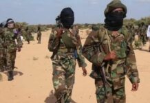 Al-Shabaab oo Lamu ku weeraray shirkad laga leeyahay Shiinaha