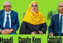 Guddiga xalinta khilaafaadka oo hakiyay natiijada kuraasta HOP211, HOP209 & HOP201