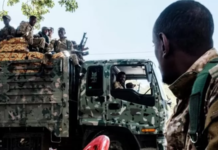 Wargees ka soobaxo dalka Canada ayaa cadeyay in Abiy & Afwerki ciidan Soomaali ah u adeeg sadeen dagaalka gobolka Tigray!