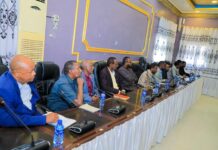 Maxaa looga hadlay Shirka Golaha Wasiirada Jubbaland?