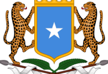 DFS oo ka hadashay meydadka Soomaali laga helay xadka Giriiga & Turkiga