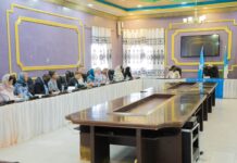 Madaxweyne Axmed Madoobe oo la kulmay wafdi ka socday Beesha caalamka