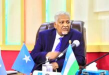 M/W kuxigeenka Puntland waxaan si KMG ah ula wareegay Xilka Madaxweynaha .