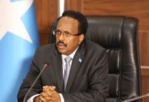 Madaxweyne Farmaajo oo Hambalyo u diray Gudoomiyaha cusub ee Golaha shacabka