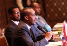 Dhageyso: Ra’iisal wasaare Rooble oo la kulmay Jaaliyada Sooomaaliyeed ee Switzerland