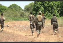 DANAB oo howlgal kula wareegay degaan katirsan Shabeellaha Dhexe