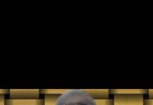 Dhageyso: Aqoon yahan Taageeray Ansixinta Ra’iisal Wasaare Xamza Cabdi Barre oo maanta codka kalsoonida ka helay Xildhibaanada Golaha shacabka