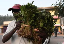 Dawlada Sacuudiga oo qabtay 30 an oo Jaad ah