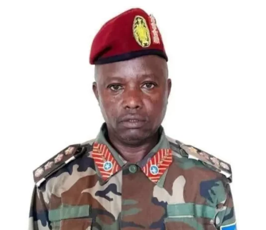 DFS oo ka hadashay Geerida Jeneraal Sheegoow